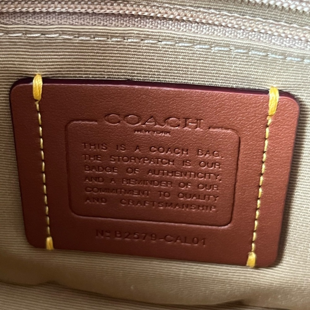 ✅Coach Carmen Mini Crossbody Bag With Strawberry Printed - Picture 12 of 14